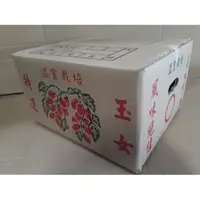 在飛比找蝦皮購物優惠-39*33*21cm玉女小蕃茄10斤裝五層牛皮外箱 #10-