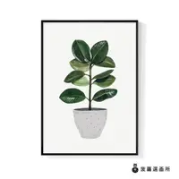 在飛比找momo購物網優惠-【菠蘿選畫所】盆栽意趣 – 橡膠樹-50x70cm(畫/植物