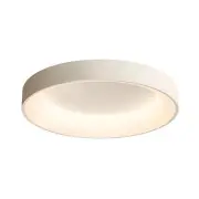 30cm 24W Full Spectrum Smart LED Ceiling Lamp 3 Color Temperatures Modern Simple for 5~10㎡ Bedroom Living Room Balcony C