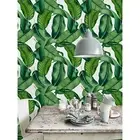 Botanical Leaves Removable Wallpaper Big Leaves Exotic Tropical Mural Nature