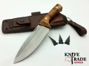 Condor Pictus Knife + Sheath + 3 Arrow heads CTK3941-6.1HC Survival Hunting Camp