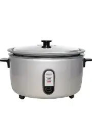 Panasonic SR-GA541FH Automatic Rice Cooker