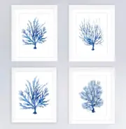 Set of 4 Hamptons Blue Coral on White Framed Canvas Wall Art