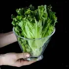 Acrylic Salad Bowl Serving Salad Bowl Serving Break-resistant Tray Light Weight
