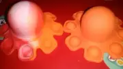 NEW 2021~POP! Fidget Fun Pop Octopus Orange Swirl~Reversed~Calms Anxiety~3+