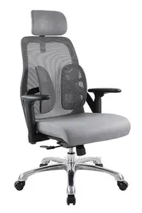在飛比找Yahoo!奇摩拍賣優惠-【辦公天地】高級雙背人體工學椅~網背椅~多功能辦公椅(BM0