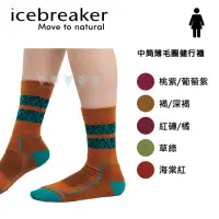 在飛比找momo購物網優惠-【Icebreaker】女 中筒薄毛圈健行襪 IB0A56G