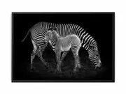 Mum & Baby Zebra Framed Print Fine Art Poster Print