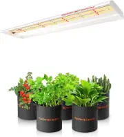 SPIDER FARMER SF-600 LED Grow Light 2X4 Ft Coverage Sunlike Full Spectrum Plant