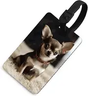 [TKJMCSW] Cute Chihuahua Luggage Tags for Suitcases Travel Tags for Luggage Travel Bag Tags Luggage Identifiers Tags Baggage Name Tag Backpack Labels Carry Ons Tags for Men Women