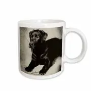 3dRose Labrador Retriever Mug