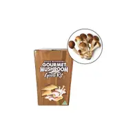 Aussie Mushroom Ready to Grow Mushroom Kit - Sword Belt - Easy to Fruit