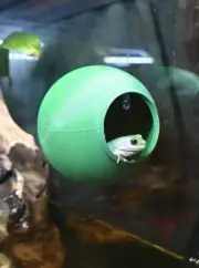 Gecko Frog Ball Cave Hide Amphibian Reptile Tank Enrichment Decor Decoration