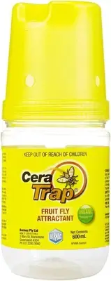 Amgrow Cera Trap Organic Fruit Fly Trap 600 Ml