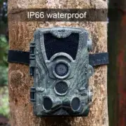 Hunting Camera Trail Cameras 20MP 1080P Night Vision Photo Wireless Tracking