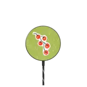 Magnetic Wireless Charger cherry tomatoes