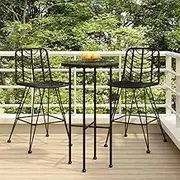 Garden Chair Bar Stools 2 pcs Black 45x56x103.5 cm PE Rattan and Steel Patio Seating