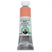 Old Holland Classic Oil Color - Flesh Tint 40ml Tube 40ml Tube