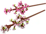 [LEGO] Cherry Blossoms
