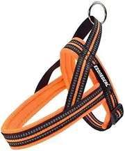EZONEDEAL No Pull Dog Harness with Soft Padded Handle, xs Dog Harness Reflective Strip Escape Proof and Quick Fit to Adjust Puppy Harness,Easy for Training Walking - Dog Vest Harness(XS, Orange)