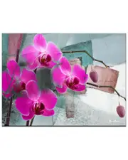 Ready2HangArt Painted Petals XIII Wrapped Canvas Wall Art by Tristan Scott