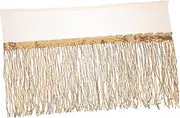 Operitacx Multipurpose Fringe Trim Tassel Decoration for Clothing Latin Stage Costumes Skirt Trim