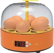 Egg Incubator,6 Egg Mini Automatic Science and Education Chicken Incubator for Chicken Quail Bird Egg Pigeon