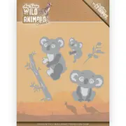 Koala Dies ADD10208
