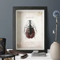 在飛比找蝦皮購物優惠-昆蟲標本獨角仙甲蟲金龜不展翅裝飾生日禮物家居擺件禮品掛墻創意