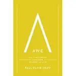 AWE: WHY IT MATTERS FOR EVERYTHING WE THINK, SAY, AND DO