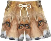 [RPLIFE] Kids Swim Shorts, Anti Chafe Swim Trunks Boys 2 T, Foxs Face Eyes