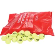 WILSON TEAM W TRAINER 96 BALL POLY BAG