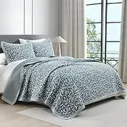 FineStichery 100% Cotton Queen Quilt Set, Queen Bedspreads with Pillow Shams, Botanical Vine Pattern, Lightweight Soft Quilted Farmhouse Bedding Set, Grayish Blue/White