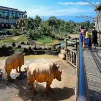 在飛比找蝦皮購物優惠-六福莊四人專案~住宿+二日門票(即將停售)