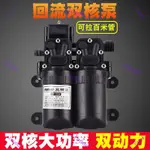 大功率12V雙核泵動力水泵農用電動噴霧器改裝雙泵高壓打藥洗車泵