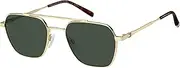 [Tommy Hilfiger] 207942 Sunglasses, J5G, 55, J5g., 55, J5g., 55