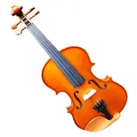 在飛比找Yahoo奇摩購物中心優惠-100%MIT台灣品牌，精緻手工小提琴，全棗木配件，台灣JA