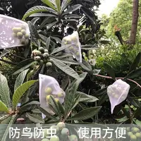 在飛比找樂天市場購物網優惠-葡萄袋火龍果柚子無花果芒果釋迦果石榴套袋防鳥防蟲專用水果網袋