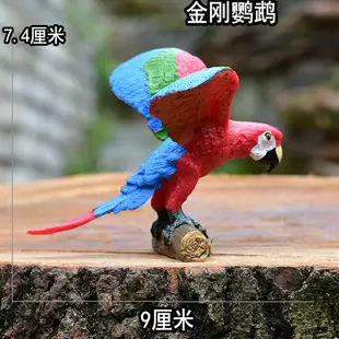 仿真野生動物模型實心飛鳥類微景觀兒童玩具飛禽老鷹鸚鵡天鵝環保