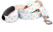 Yellow Dog Design Blue and Melon Polka Dot EZ-Grip Dog Leash with Comfort Handle 1" Wide and 5' (60"), Large