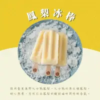 在飛比找蝦皮商城優惠-【春一枝】天然水果手作冰棒-鳳梨(6入組)-廠商直送(7個工