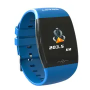 P1 1.3'' Color Screen IP67 Waterproof Smart Bracelet Heart Rate Blood Pressure Monitor Fintesss Sport Smart Watch mi band BLUE COLOR