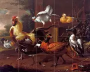 Henhouse bird duck farm Tile Mural Kitchen Bathroom Backsplash Marble Ceramic