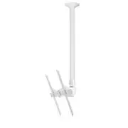 Atdec TH-3070-CTLW Telehook TV Display Ceiling Mount Tilt Long - White