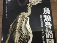 在飛比找Yahoo!奇摩拍賣優惠-鳥類骨骼圖鑑