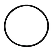 Laguna O-Ring 1" (3pk) (PT766b)