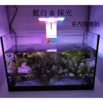 魚缸照明燈 魚缸燈 三檔調光 LED魚缸燈 水草燈 水草缸 水族箱照明 水族夾燈 增艷燈 LED夾燈 過濾器 濾水器