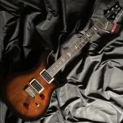 Paul Reed Smith(PRS) SE CUSTOM 24 Black Gold Physical image