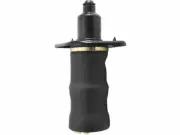 For 2001-2005 Audi Allroad Quattro Air Spring Rear Left Unity 18676QQ 2002 2003 (for: Audi)