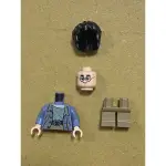 LEGO 樂高 人偶 哈利波特 哈利波特 76390 76405